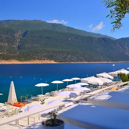 Club Capa Hotel 3*