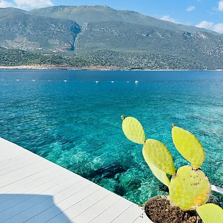 Ξενοδοχείο Club Capa 3*