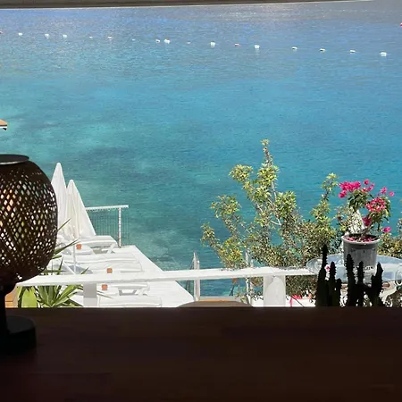 Hotel Club Capa 3*