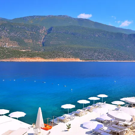 クラブ シャパ 3*