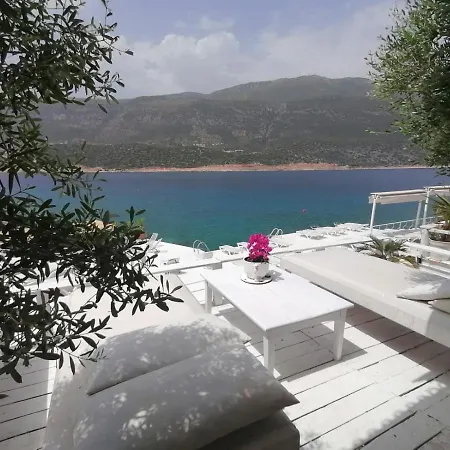 Hotel Club Capa 3*